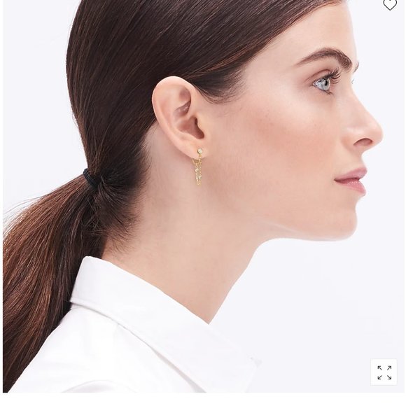 J. Crew Jewelry - J Crew Chainlink earrings with crystal charm, NWT